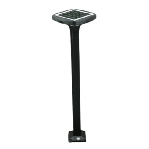 BO-250624B-BK-WW-5W