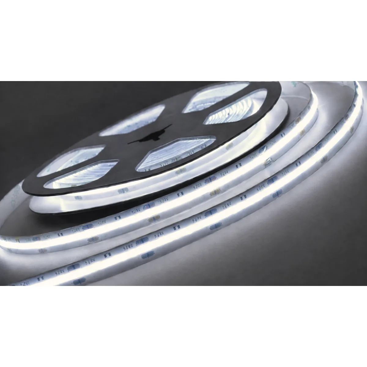 COB-12V-320L-12W-5M-CL-IP44