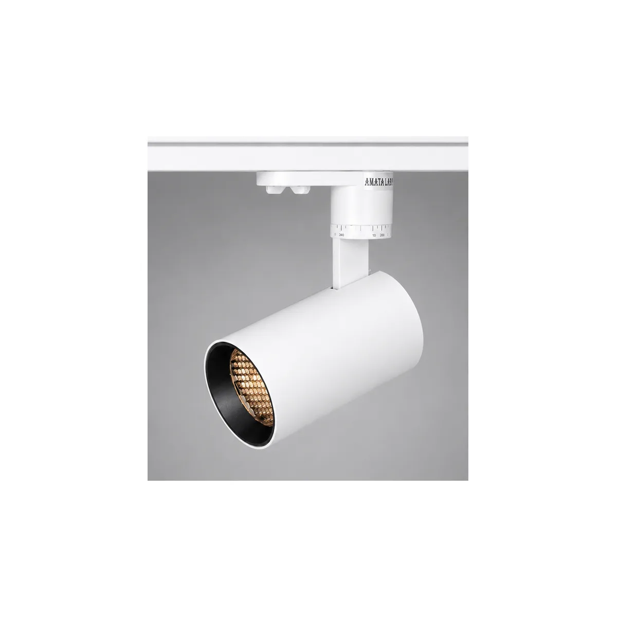 DC-TL-H209B1-12W-T-WH-WW