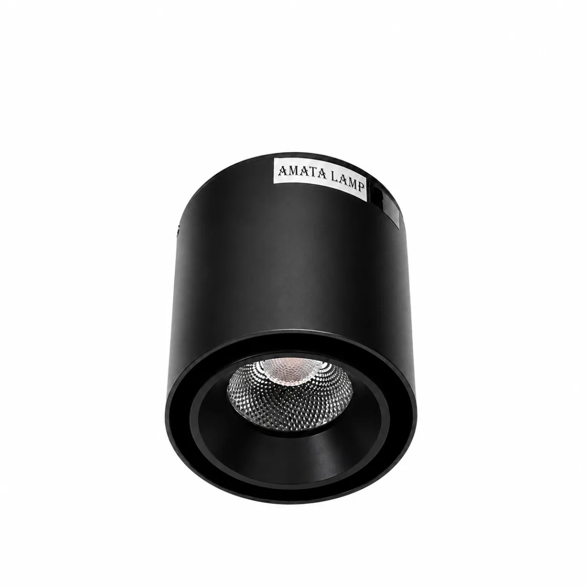 DL-D520D-COB12RT-12W-BK-WW