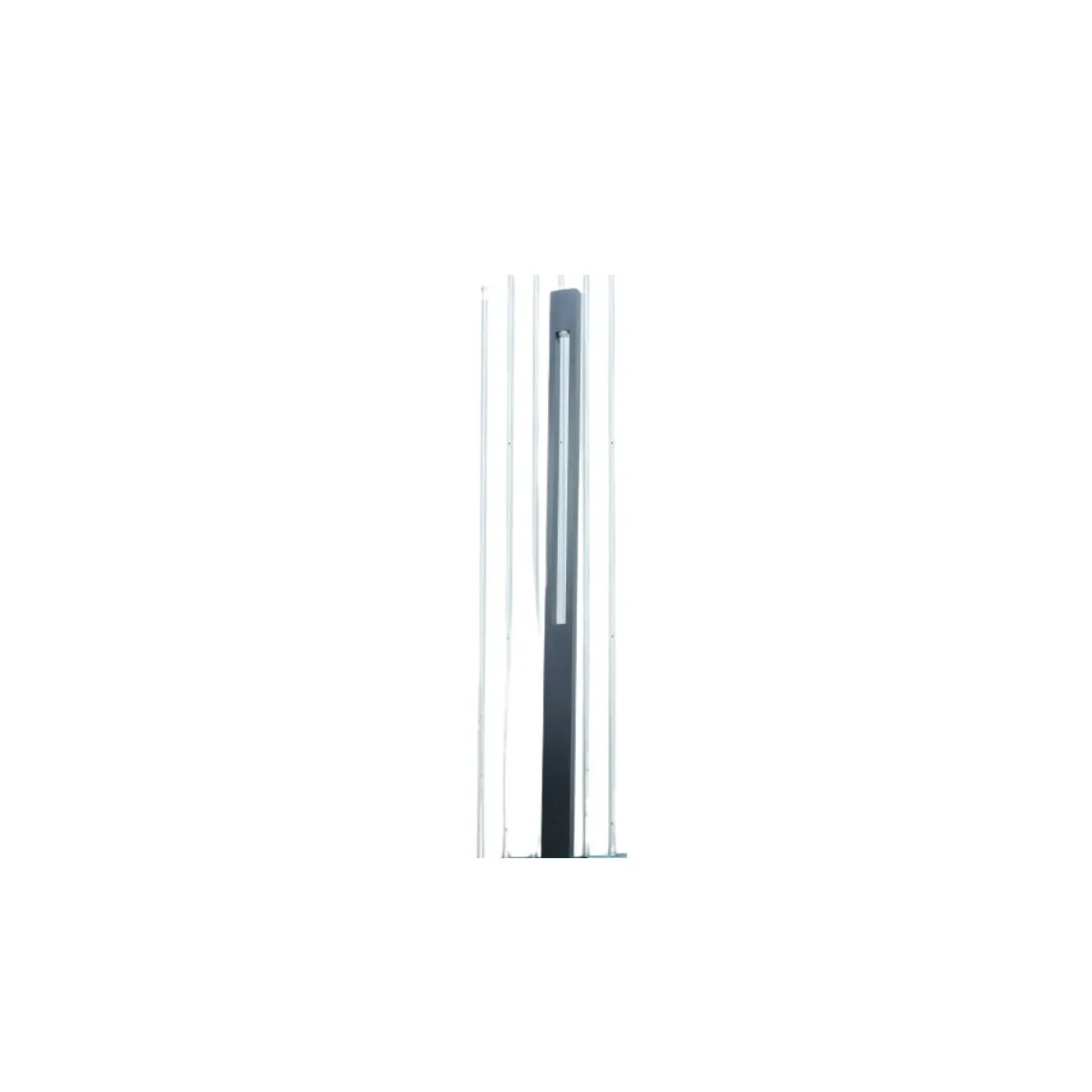 PL-230911A-4M.-BK
